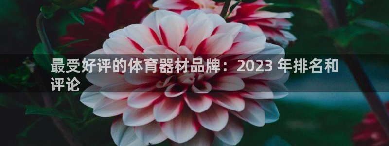 星欧娱乐游戏官网：最受好评的体育器材品牌：2023 