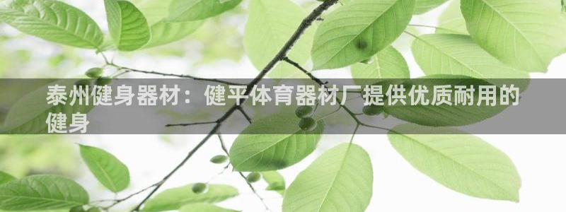 江苏星奥娱乐有限公司：泰州健身器材：健平体育器材厂提